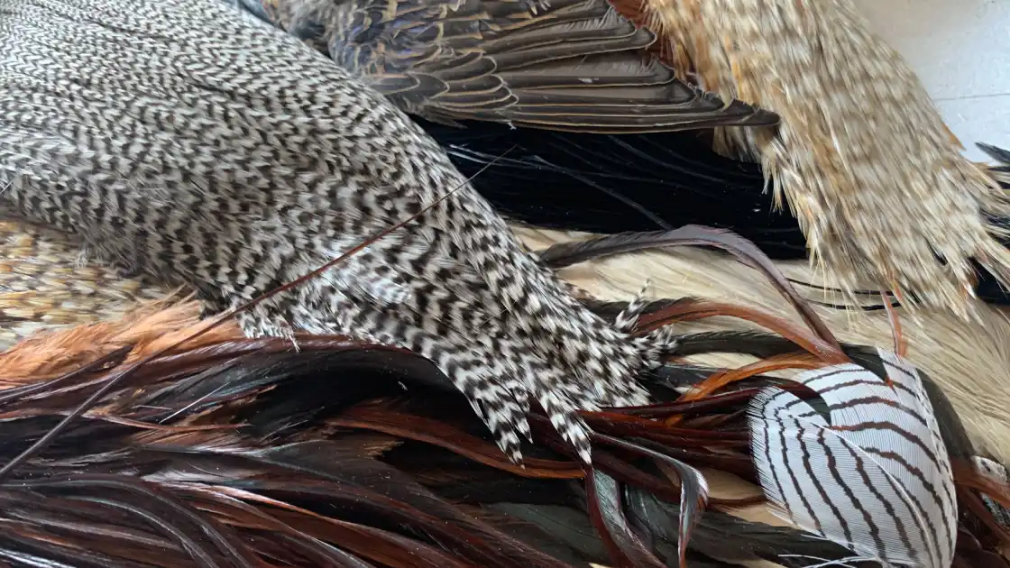 Sélection de plumes pour le montage de mouches